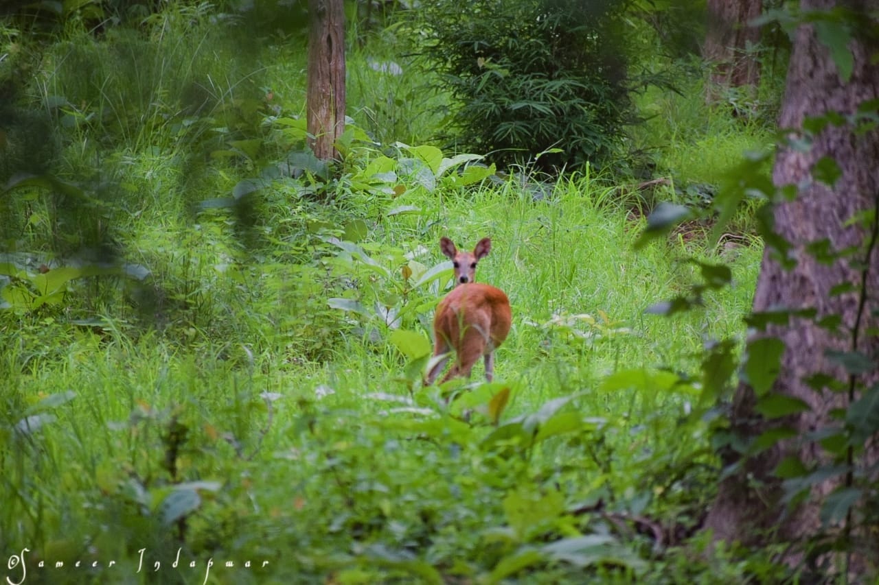 whatsapp-image-2025-11-26-at-15542-pm-1