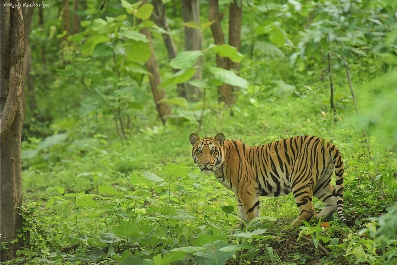 whatsapp-image-2025-11-26-at-15543-pm-2