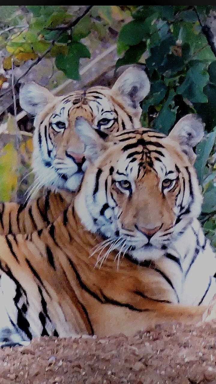 whatsapp-image-2025-11-26-at-15544-pm-1